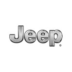 Jeep Diesel Injectors